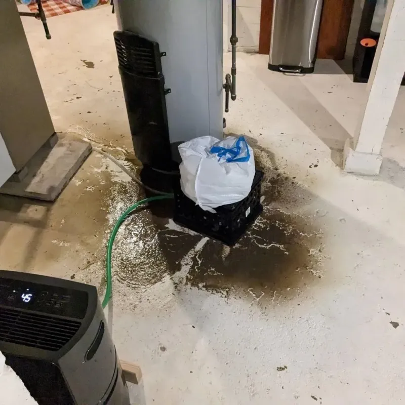 Sewage Backup Cleanup Service in Draper, UT
